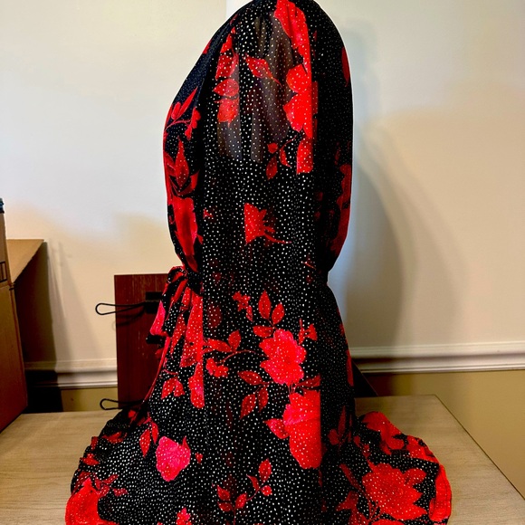 ⭐️HostPick⭐️City Triangles Black & Red Floral Long Sleeve Dress w/ Gold sparkles - Picture 2 of 14